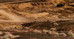 欧冠积分榜：利物浦巴萨前2携手出线！马竞升第3 鱼腩7连败仍0分